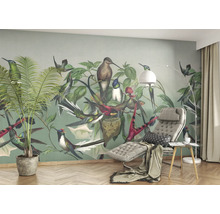 Fototapet vlies Curiosity Birds verde 265x265 cm