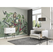 Fototapet vlies Curiosity Birds verde 265x265 cm