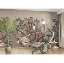 Fototapet vlies Curiosity Birds bej 265x265 cm