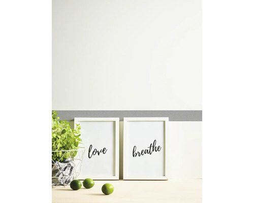 Scenă decorativă cu două postere înrămate, plantă și limete