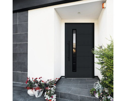 Ușă de intrare modernă cu inserție de sticlă și plante în ghivece în fața intrării