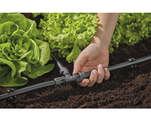 Sistem de irigare prin picurare cu racord T pentru plantele din grădină