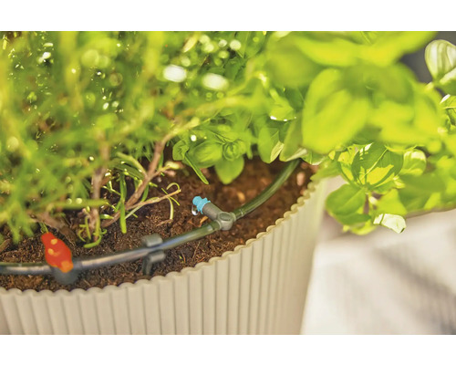 Sistem de irigare în jardinieră cu ierburi aromatice