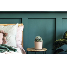 Dormitor cu pat, lambriu, măsuță laterală cu suculentă