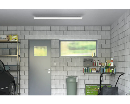 Garaj cu rafturi, ușă, fereastră și lampă de tavan.