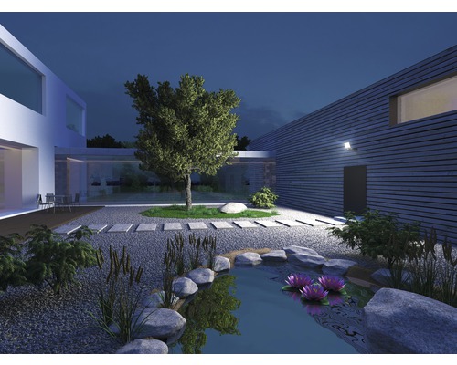 Design modern de grădină cu iaz, pietre, plante și iluminat