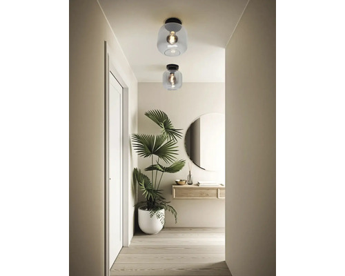 Hol cu două lămpi de tavan cu abajur de sticlă și o plantă de interior