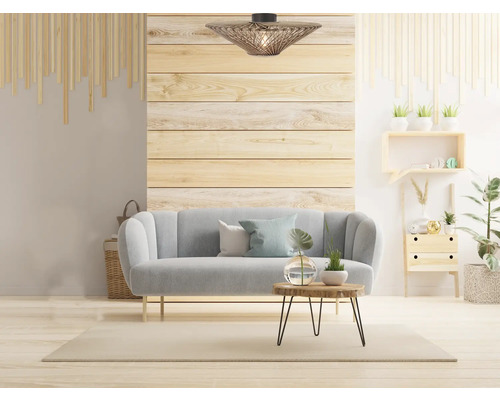 Living cu canapea, perete din lemn, masă din lemn și plafonieră