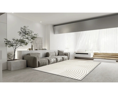 Living cu canapea, plantă și covor cu modele geometrice