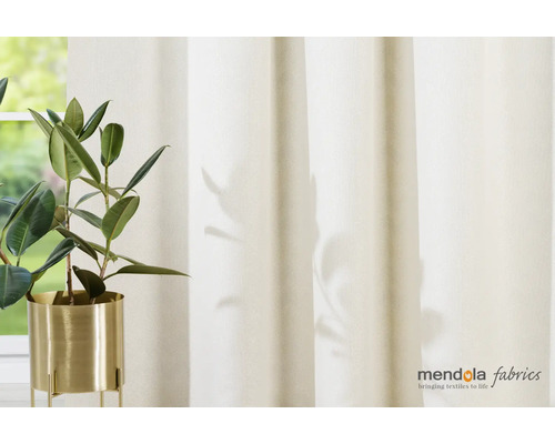 Atmosferă decorativă de locuit cu perdea și plantă de interior în ghiveci