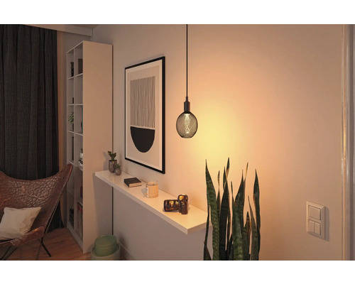 O atmosferă de locuit cu un sistem de rafturi, o imagine și o lampă suspendată