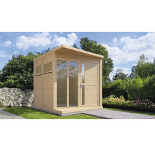Cabină de grădină din lemn cu ferestre și ușă într-un design luminos și modern