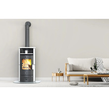 Șemineu cu conductă de fum într-un living