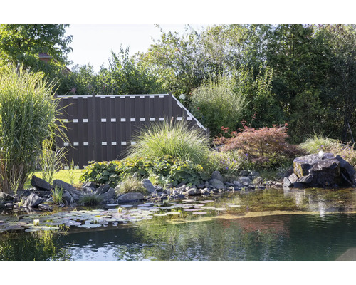 Scenă de grădină cu iaz, plante și gard