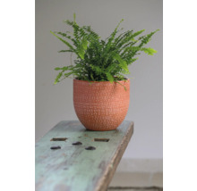 Mască ghiveci Amarante ceramică porțelanată Ø 18 cm H 16 cm portocaliu-thumb-3 Mască ghiveci Amarante ceramică porțelanată Ø 18 cm H 16 cm portocaliu-thumb-3