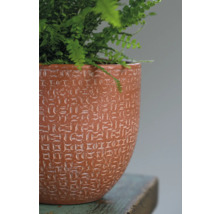 Mască ghiveci Amarante ceramică porțelanată Ø 18 cm H 16 cm portocaliu-thumb-2 Mască ghiveci Amarante ceramică porțelanată Ø 18 cm H 16 cm portocaliu-thumb-2