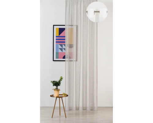 Interior cu perdea transparentă, masă cu plantă și imagine înrămată pe perete