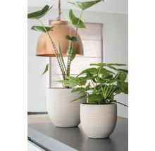 Mască ghiveci Amarante ceramică porțelanată Ø 29 cm H 26 cm crem-thumb-3 Mască ghiveci Amarante ceramică porțelanată Ø 29 cm H 26 cm crem-thumb-3