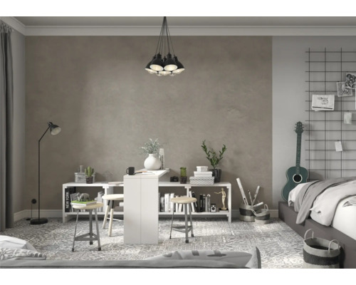 Cameră de lucru cu birou, rafturi și elemente decorative.