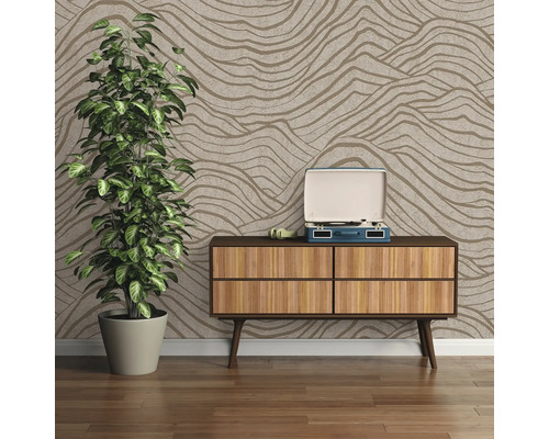 Cameră de zi cu tapet cu model, comodă, pick-up și plantă de apartament