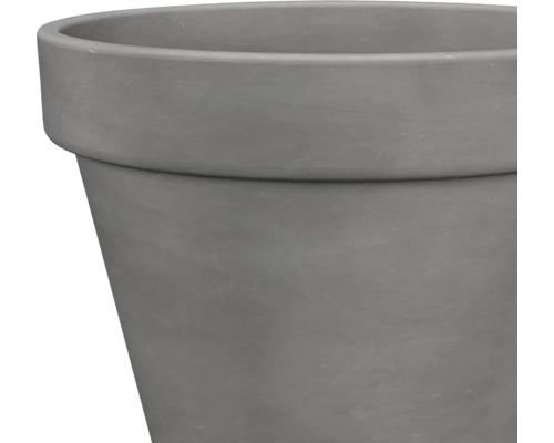 Prim-plan al unui ghiveci de flori