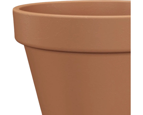 Imagine detaliată a unui ghiveci de flori din teracotă