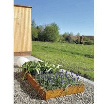 Jardinieră cu plante pe o suprafață de pietriș în grădină