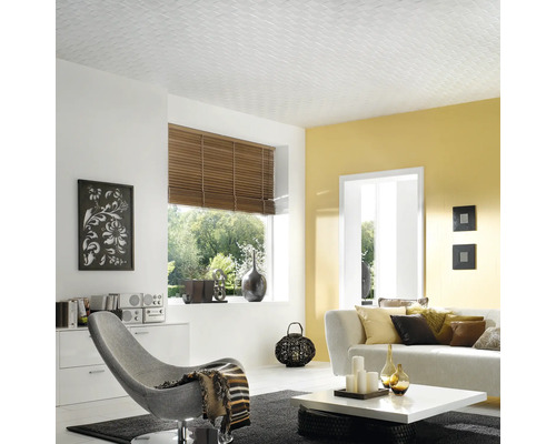 Cameră de zi cu panouri de tavan, canapea și fotoliu