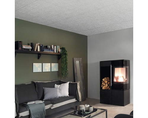 Cameră de zi cu panouri de tavan, raft, canapea și sobă pe lemne