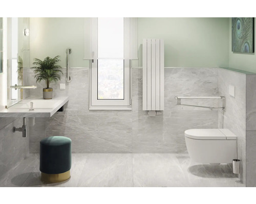 Baie accesibilă cu chiuvetă, toaletă și bare de sprijin