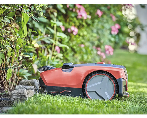 Robot de tuns iarba pe gazon în grădină