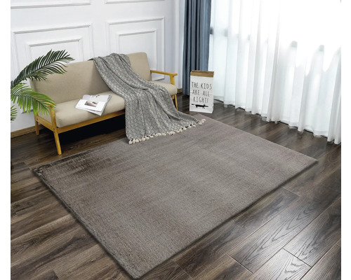 Living cu canapea, pătură și covor dreptunghiular pe podea de lemn