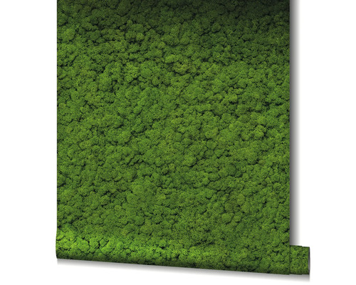 Rola de tapet cu motiv de mușchi