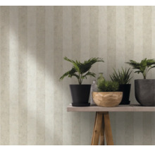 Vedere a unei camere cu tapet în dungi, plante în ghivece și sticle decorative
