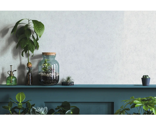 Plante decorative de interior și ghivece de flori pe un raft