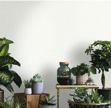 Interior cu diverse plante de apartament pe mese și rafturi, atmosferă luminoasă și prietenoasă.