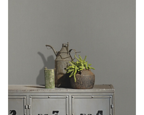 Elemente metalice decorative pe un dulap