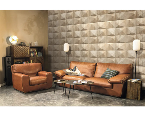 Living cu canapea de piele, fotoliu, panouri de perete din lemn și rafturi