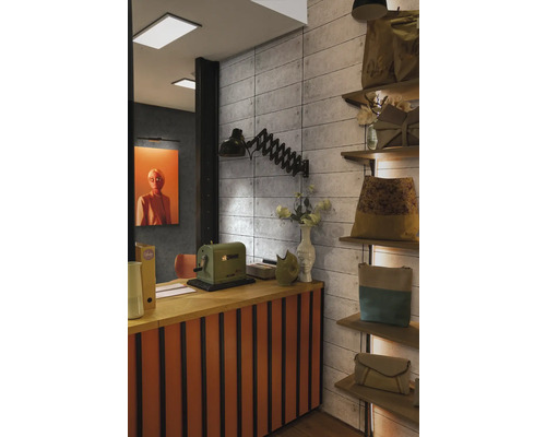 Interior cu tejghea, lampă și rafturi cu mărfuri