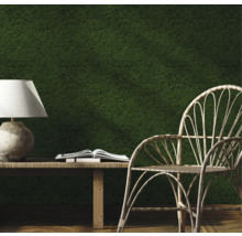 Interior decorativ cu perete de mușchi, masă, lampă, carte și scaun