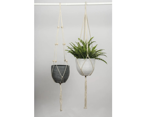 Doi ghivece suspendate cu suport macrame