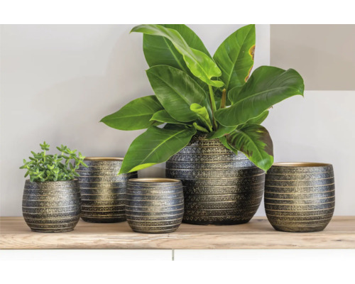 Ghivece decorative de diferite dimensiuni pe un raft cu plante