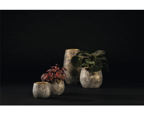 Diverse plante în ghivece texturate