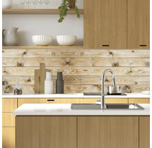 Scenă de bucătărie cu chiuvetă, robinet și panou de perete din lemn