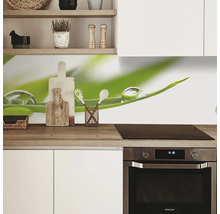 Protecție perete bucătărie cu iarbă și picături de apă într-o bucătărie modernă.