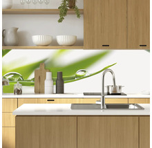 Scenă de bucătărie cu chiuvetă, robinet și protecție împotriva stropilor cu motiv vegetal