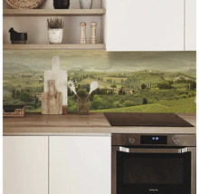 Protecție perete bucătărie cu motiv peisagistic într-o bucătărie modernă.