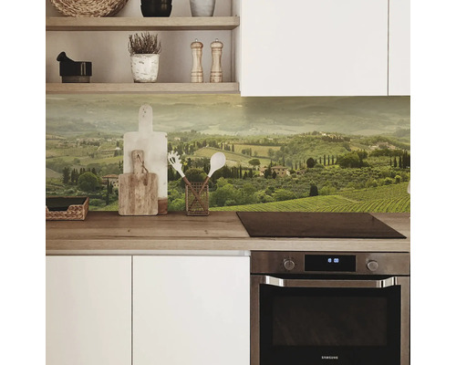 Protecție perete bucătărie cu motiv peisagistic într-o bucătărie modernă.