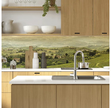 Scenă de bucătărie cu chiuvetă, robinet și motiv peisagistic ca protecție împotriva stropilor