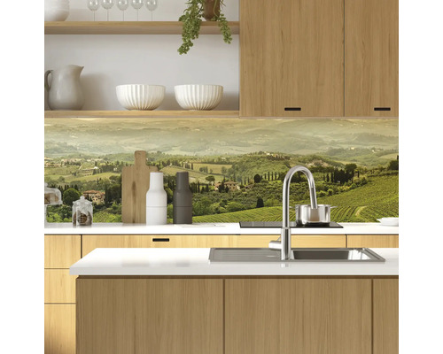 Scenă de bucătărie cu chiuvetă, robinet și motiv peisagistic ca protecție împotriva stropilor